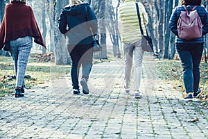 Group of four older women is walking along the alley in the park - generation of baby boomers on a walk.