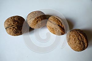 Group of four ripe brown rounded fruits of Persian walnut