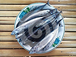 Group of Fresh Bullet Tuna Fish on White Plate on Bamboo Surface