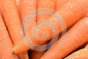 Group of fresh carrots photo