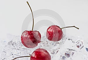 Group of fresh cherry in stuido shot