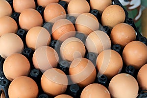 Group of fresh eggs on egg black panel package from a chicken farm in the package retained to sell for cooking at the market.