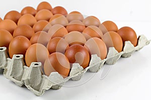 Group of fresh eggs in pater tray on white background