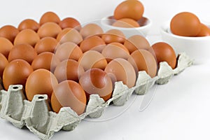 Group of fresh eggs in pater tray on white background