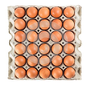 Group of fresh eggs on white