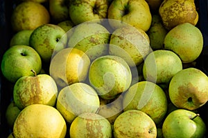 Group of fresh green apples displayed for sale at a street food market in Bucharest, Romania, natural background, soft focus