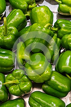 A group of fresh green capsicum annuum