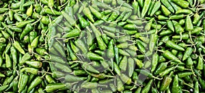 A group of fresh Green chillies or green peppers