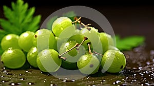 Group of Fresh Green Gooseberry Fruits On Green Background with Copy Space Selective Focus