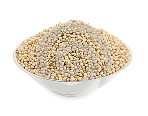 Sorghum Seed