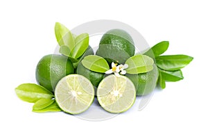 lime slice and green leaf isolated on white background