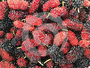 group of fresh mulberry