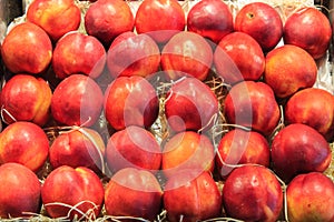 Group of fresh nectarines ordered in a box put up for sale in the Boqueria market.