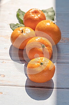 Group of fresh orange fruits on wooden board background
