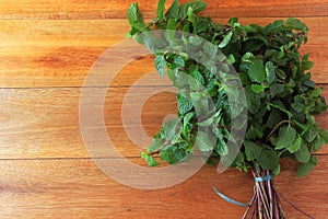 Group of fresh organic green mint on rustic wooden table. Aromatic peppermint with medicinal and culinary uses