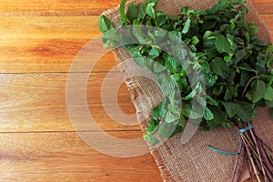 Group of fresh organic green mint on rustic wooden table. Aromatic peppermint with medicinal and culinary uses