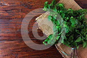 Group of fresh organic green mint on rustic wooden table. Aromatic peppermint with medicinal and culinary uses