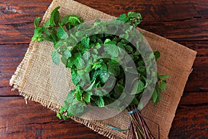 Group of fresh organic green mint on rustic wooden table. Aromatic peppermint with medicinal and culinary uses