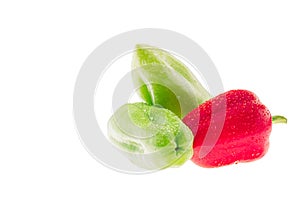 Group fresh peppers paprika with drops of water on a white background. Green and red bell peppers. Isolated. Food background.