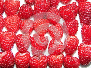 Group of fresh raspberry. Macro view