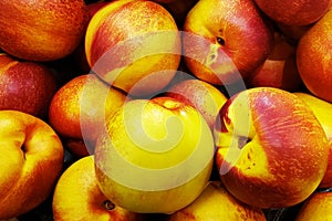 Group of fresh raw loose bulk yellow orange red peaches nectarines in a pile