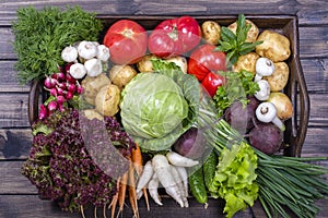 Group of fresh, raw vegetables on rustic wooden table tray. Selection includes carrot, potato, cucumber, tomato, cabbage, lettuce,