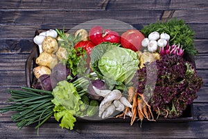 Group of fresh, raw vegetables on rustic wooden table tray. Selection includes carrot, potato, cucumber, tomato, cabbage, lettuce,