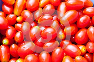 Group of Fresh Red Cherry Tomatoes