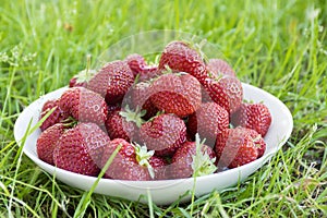Group fresh red strawberries white plate, clean fruits, delicious and ready to eat.