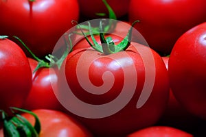 Group of Fresh red tomatoes, closeup