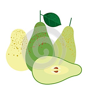 Group of fresh ripe green pears, whole and sliced half green pear fruit, isolated on white. Vector illustration, icon