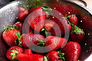 Group of fresh, ripe red strawberries with green leaves wet and washed in stainless steel colander