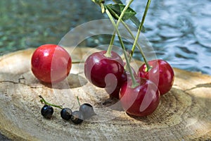 Group of fresh ripened fruit on wooden pad, red sour cherries and black currant
