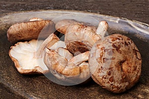 Group of fresh shiitake mushrooms on dark plate