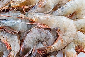 group of fresh shrimps prawns seafood red skin prawn vannamei