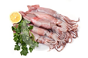 A group of fresh squid with lemon and parsley