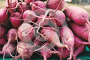 Group of fresh sweet potato