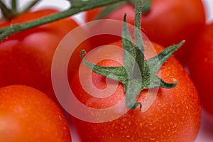 Group of fresh tomatoes. red cherry tomatoes