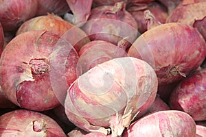 Group of fresh unpeeled red onion bulbs