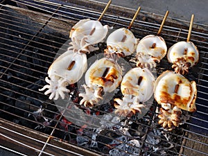 group of fresh white octopus skewers grilling on steel grate charcoal stove