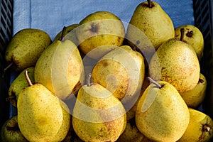 Group of fresh yellow pears displayed for sale at a street food market in Bucharest, Romania, natural background, soft focus