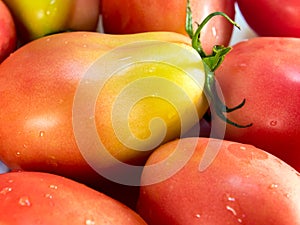 Freshness seeda cherry tomatoes