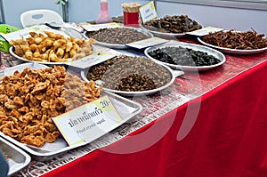 Group of fried insect in thai restaurants photo