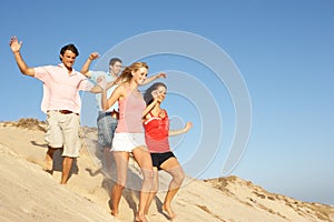 Group Of Friends Enjoying Beach