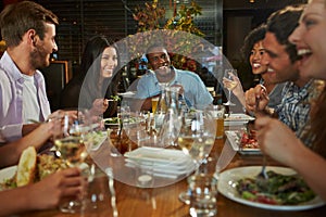 Group Of Friends Enjoying Meal In Restaurant