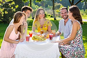 Group of friends enjoying outdoor picnic in park