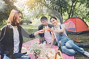 Group of friends enjoying picnic while drinking a orange juice o