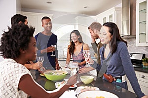 Group Of Friends Enjoying Pre Dinner Drinks At Home