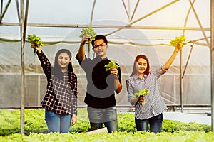 Group of friends harvesting German vegetables together to show green vegetables that are fresh.