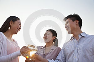 Group of Friends Toasting Each Other on Rooftop at Sunset